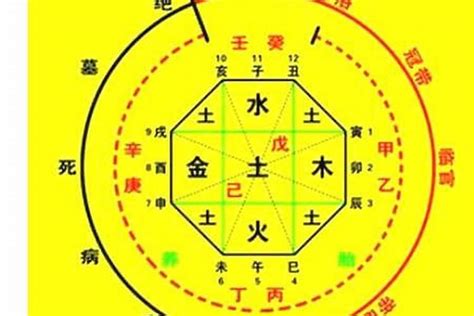 最好的八字|生辰八字算命、五行喜用神查询（免费测算）